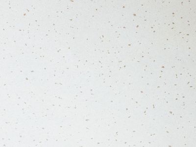 Armstrong Clean Room FL Board