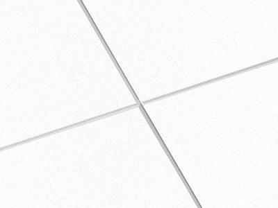 Ecophon Hygiene Performance Ds